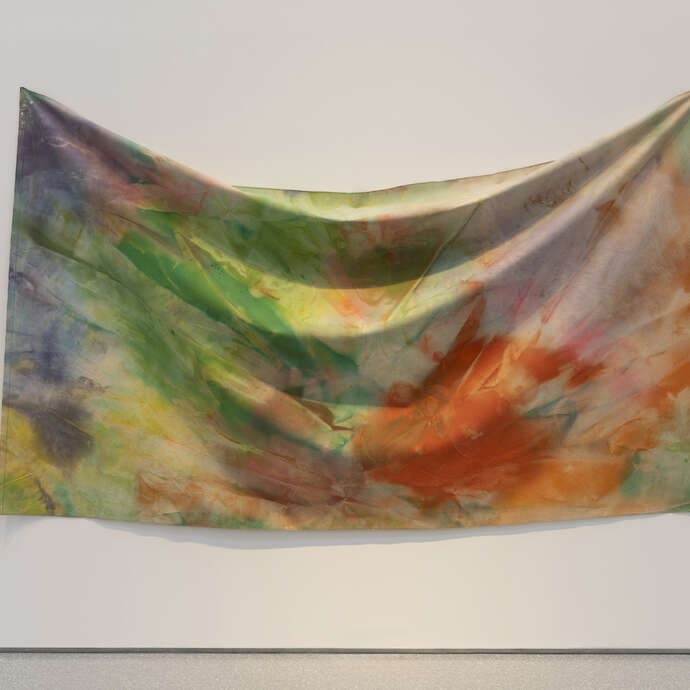 Exposition - Flying Colors. Dialogue avec les collections du Minneapolis Institute of Art