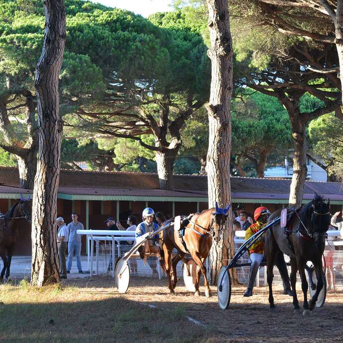 Courses hippiques à l'hippodrome d'Hyères