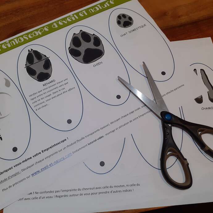 Fête de l'écotourisme