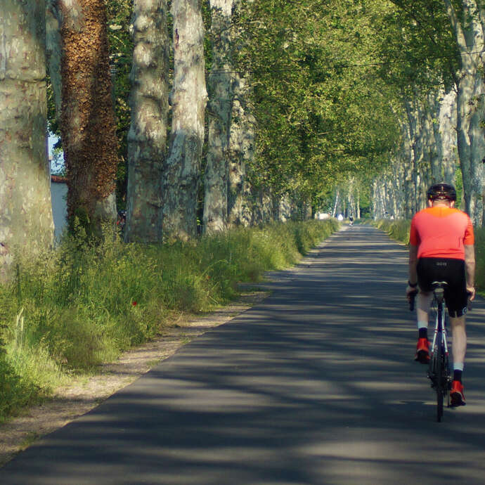 Boucle cyclable F6 : les étangs de Feurs à vélo