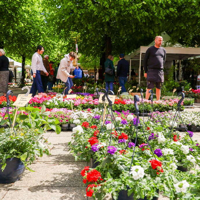 Foire aux plantes et fleurs