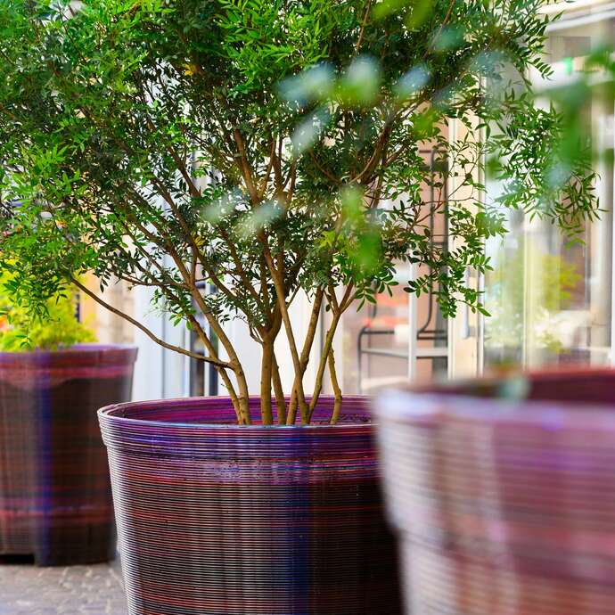 Exposition : Nouveau mobilier design de Guillaume Crédoz