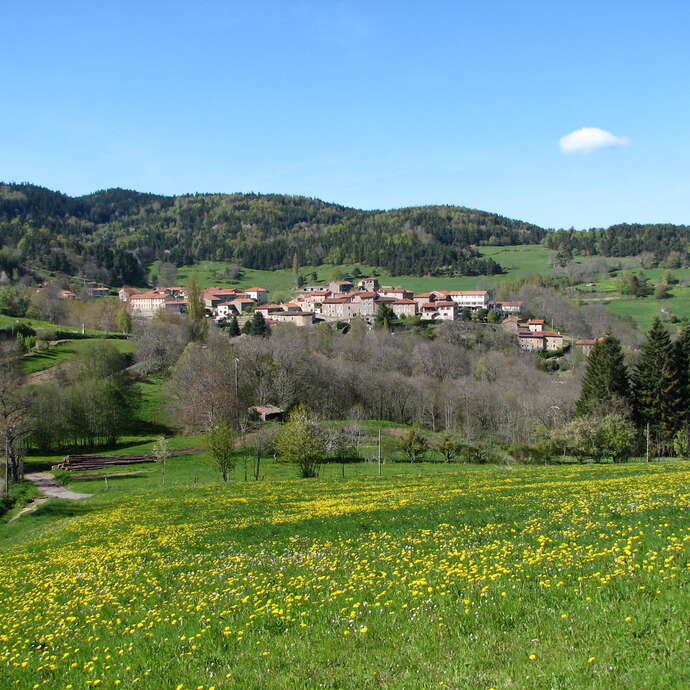 La planche de pierre - Sur les sentiers des babets du Haut-Forez