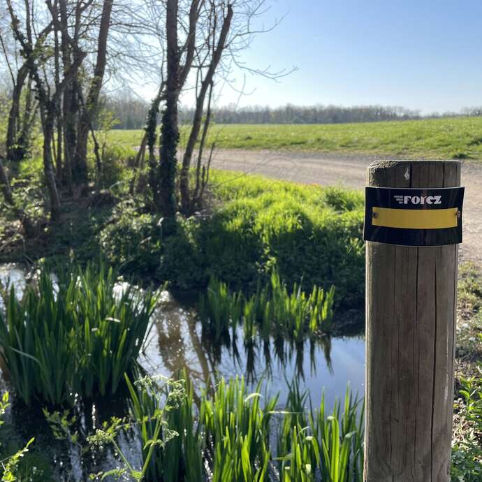 Sentier Les étangs Sentier Les étangs