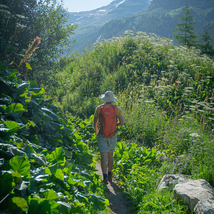Introduction to Nordic Walking / Hiking Preparation