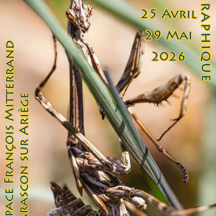 Exposition : "Photo"