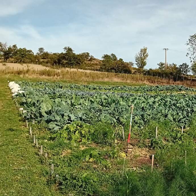 Les Carrés Jardin