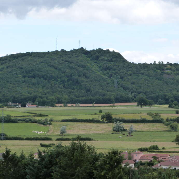Montverdun - La Bastie d'Urfé - 15 circuits VTC pour découvrir la Plaine du Forez