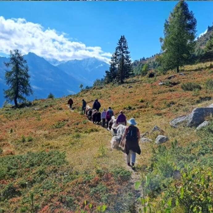 Wanderung über die Bergkämme mit den Yaks