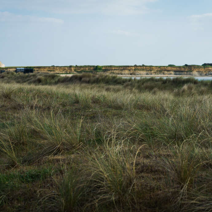 La réserve naturelle au fil des saisons