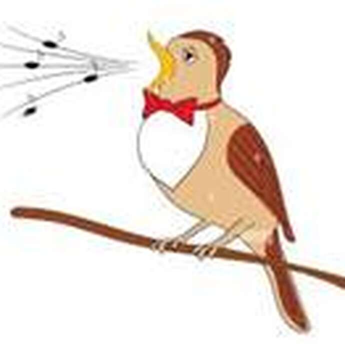 Stage Chant Musique & Partage