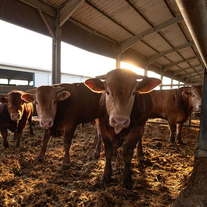 Ferme de la Prêtrerie