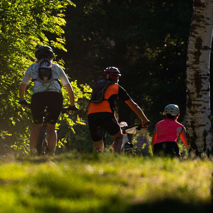 N° 13 - La pierre branlante - Espace VTT-FFC Massif des Bois Noirs