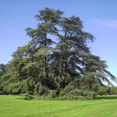 Parc de la Guyonnière