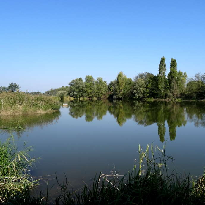 Die Gravière aux oiseaux