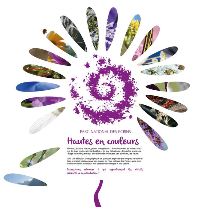 Exposition Hautes en couleurs