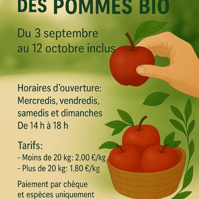Cueillette des pommes bio Cueillette des pommes bio