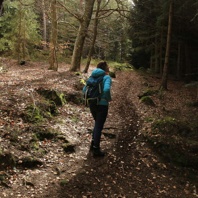 Le circuit des mégalithes