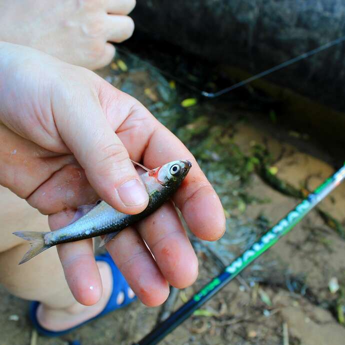 Concours street fishing
