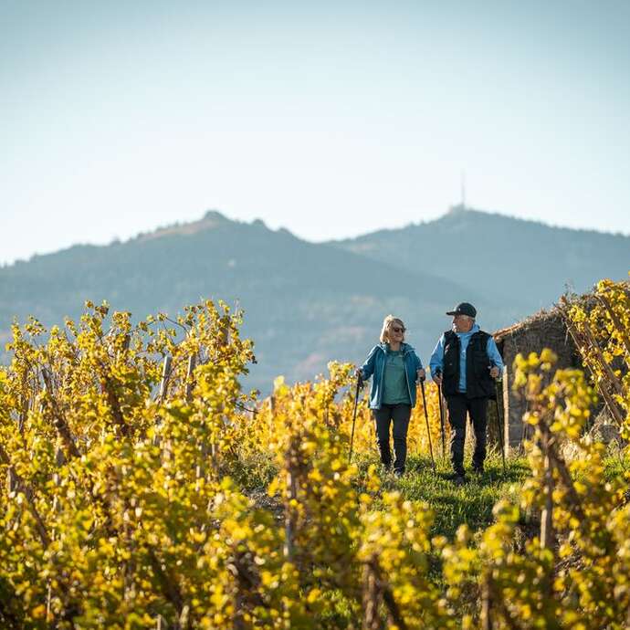 Rando Wine au Domaine Anthony Paret