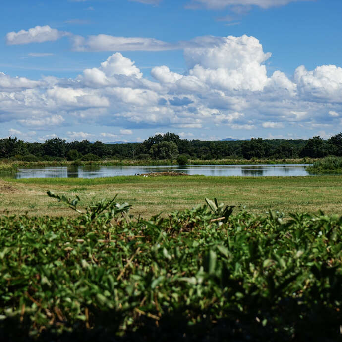 Etangs, vignes et villages - Boucle LF 1