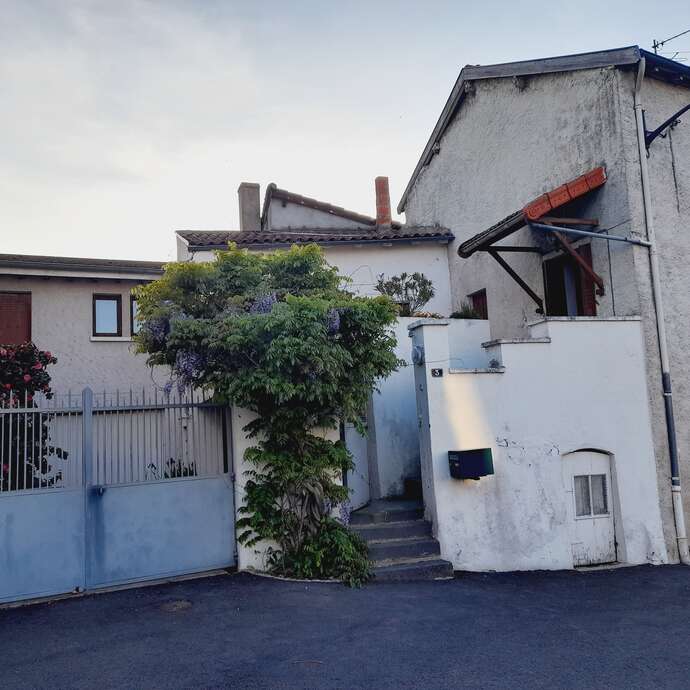 La Maison au Camélia