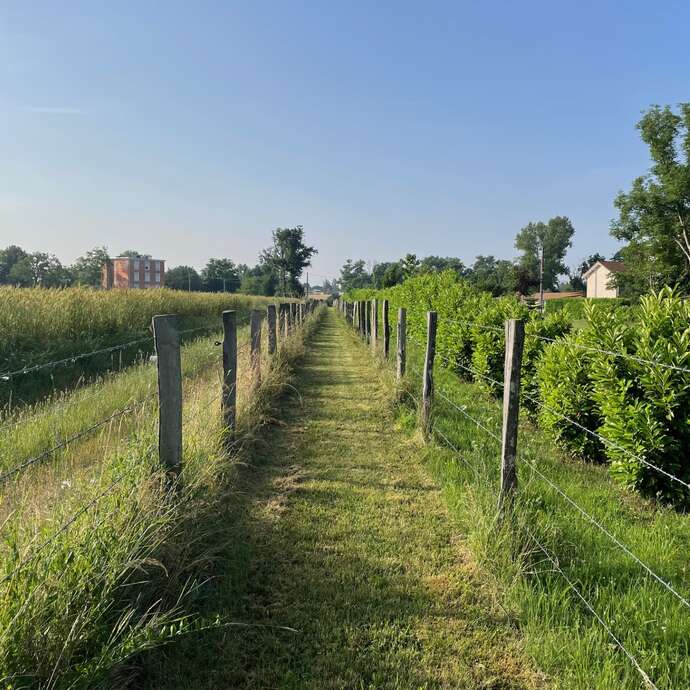 Balade des cinq croix