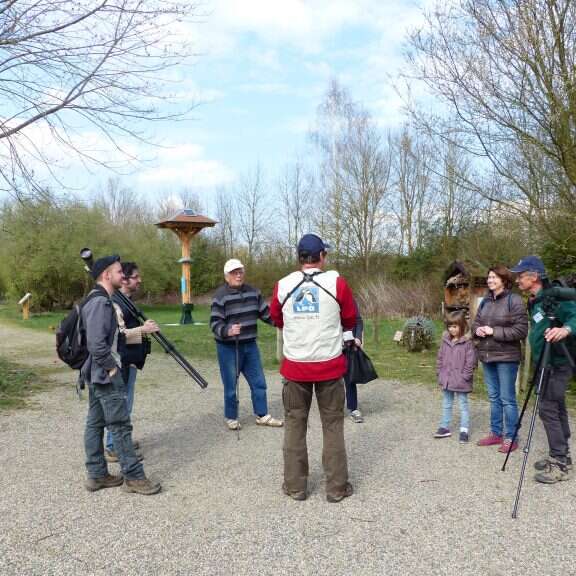 Visite guidée ornithologique