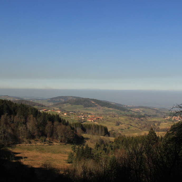 Le Vallon du Cotayet - PR 14 - VTT
