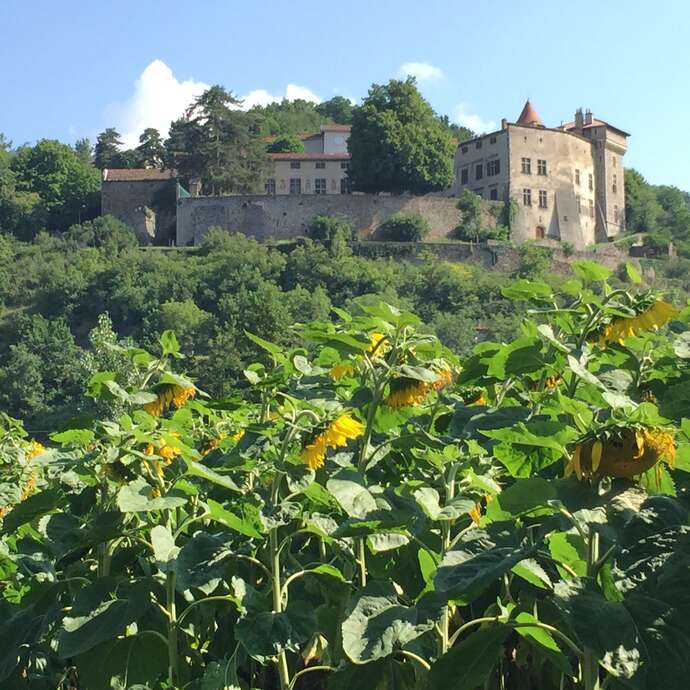Château de Bellegarde-en-Forez