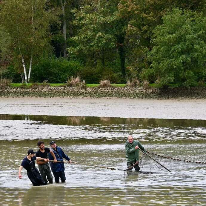 Fish Discovery Days in Dombes