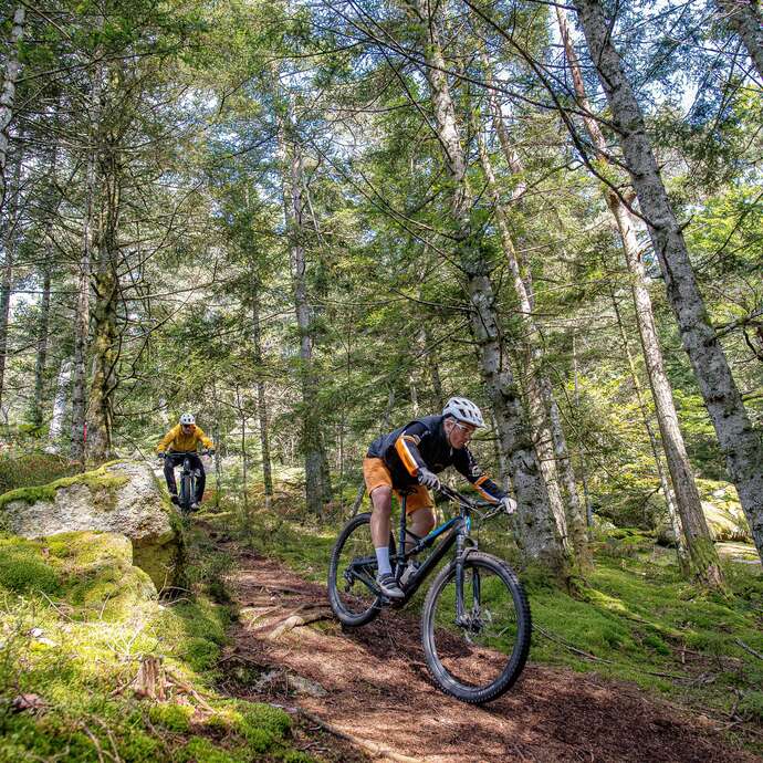 N°90 - Le Bois de la Brugne - Espace VTT Montbrison-Monts du Forez