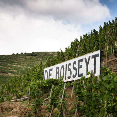 Wine Notes au Domaine De Boisseyt