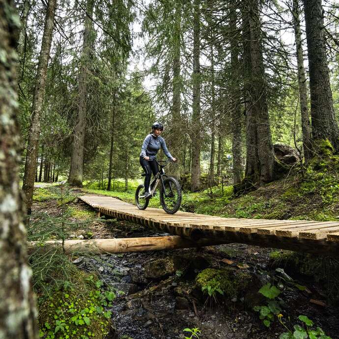 Bike Park First Wheel