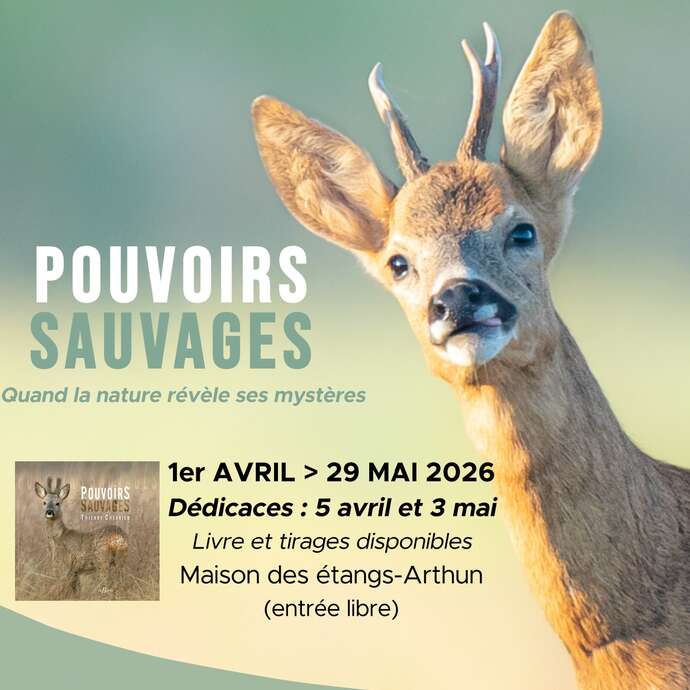 Pouvoirs sauvages - expo photo