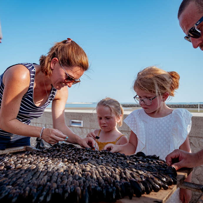Fête des Boucholeurs, fête des huîtres et des moules
