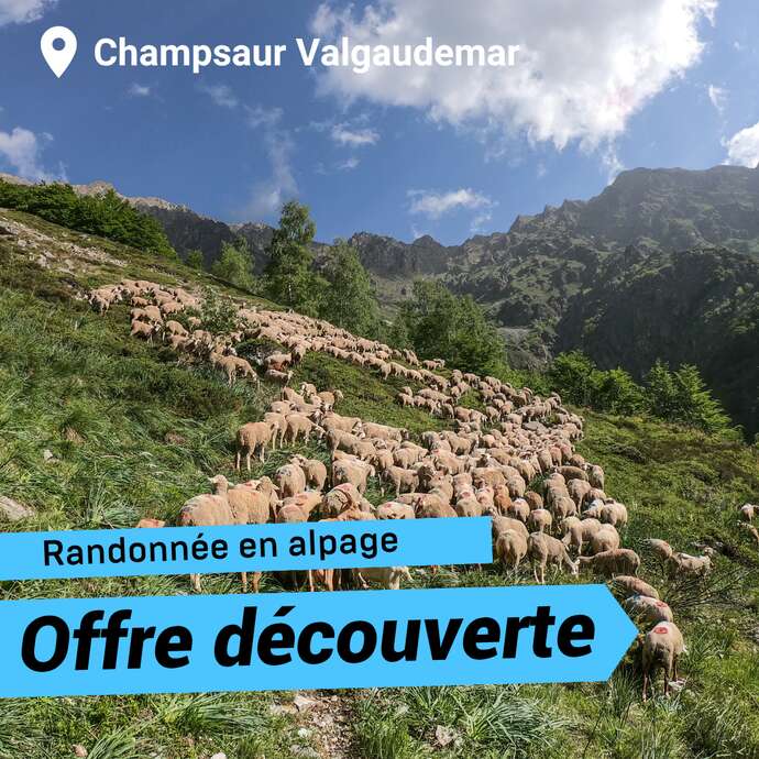 Offre découverte : Rencontres en alpage à Ancelle