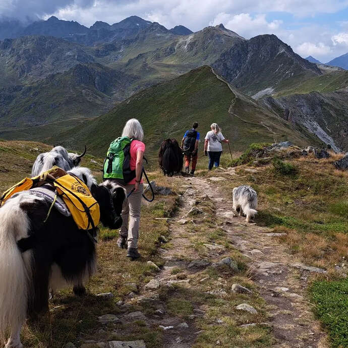 Randonnée sur les crêtes avec les Yaks