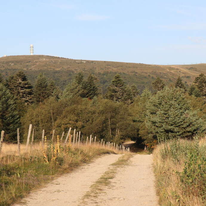 A la découverte des Hautes Chaumes du Forez