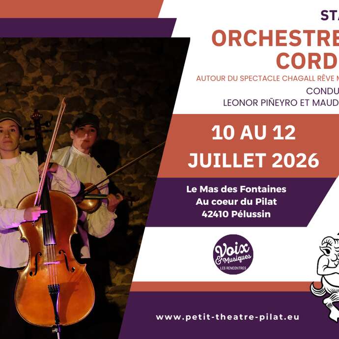 Stage Orchestre à cordes - Voix & Musiques 2026