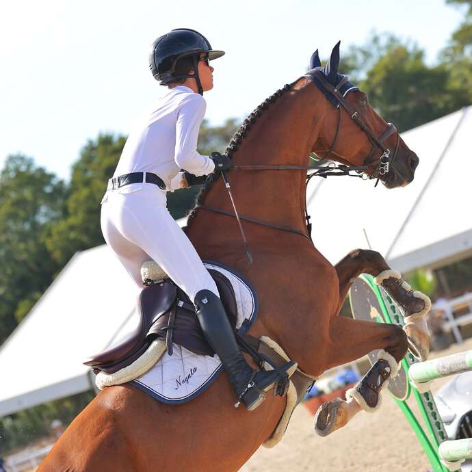 Concours de sauts international - Jumping juin
