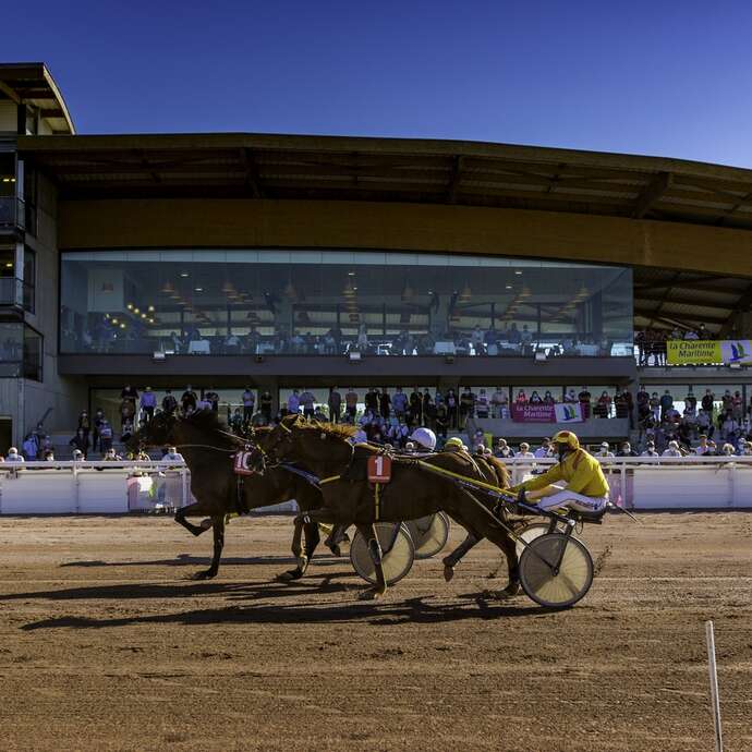 Courses à l'hippodrome