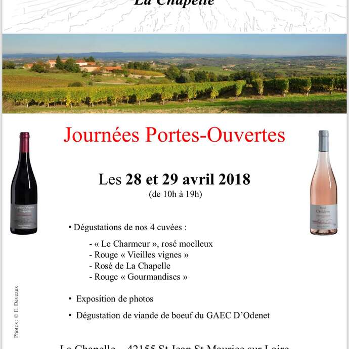 Journée dégustation au Domaine Piat