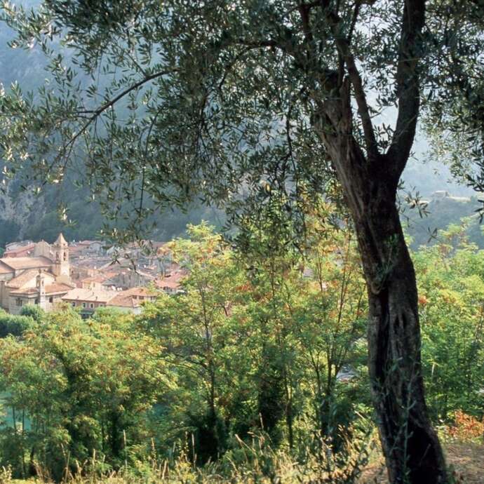 "Les Cimes du Mercantour" cyclosportive race