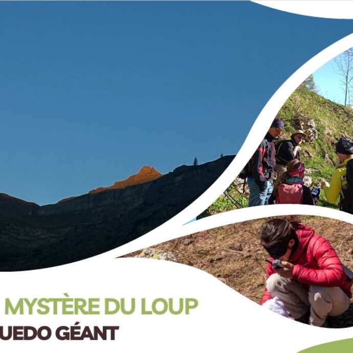 Cluedo géant : mystère du loup