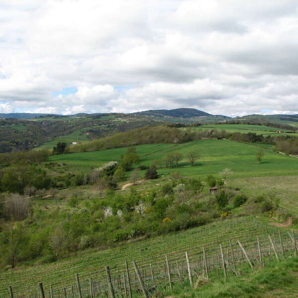 Pelouse sèche du pic basaltique de Griot