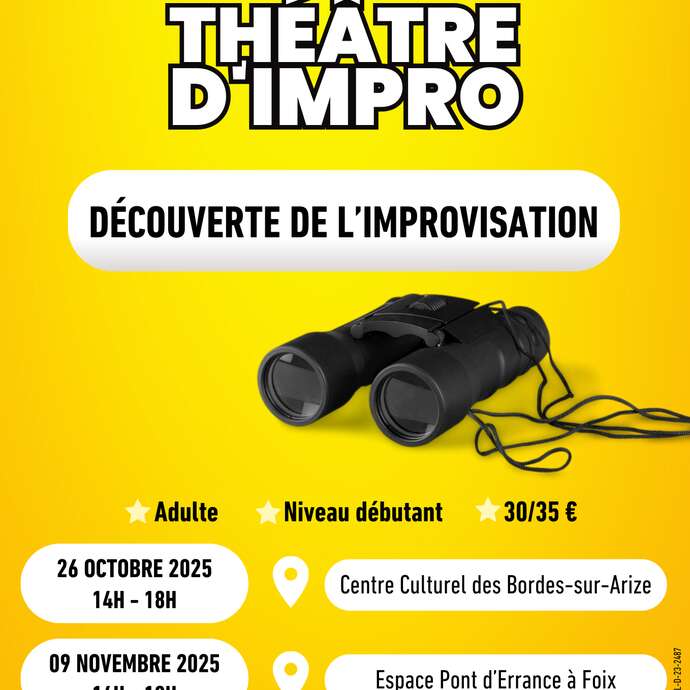 Stage Découverte : Théâtre d'Impro