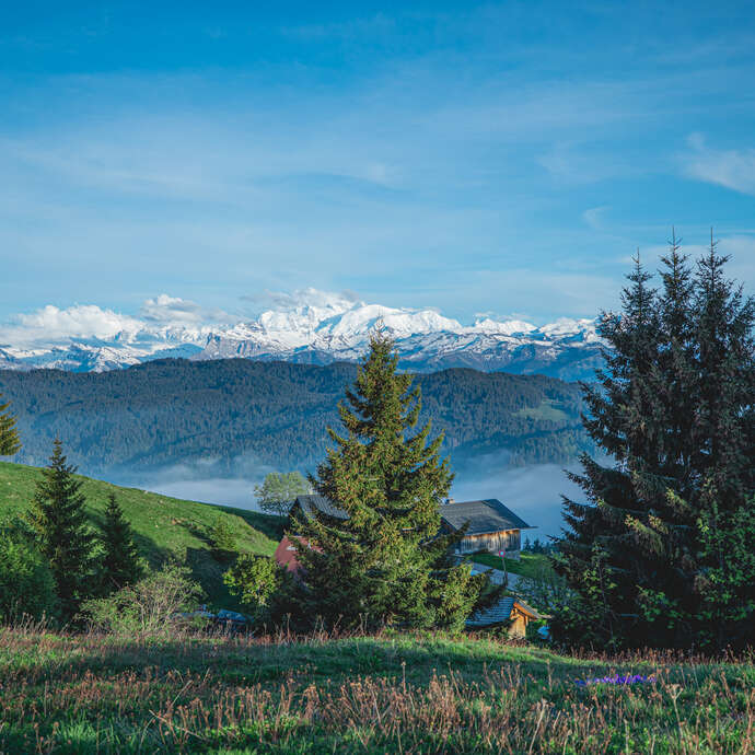 Discovery outing of Mont Caly by small train