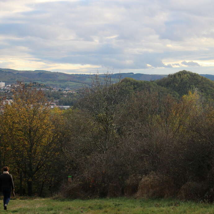 Balade bioacoustique au parc de Montaud