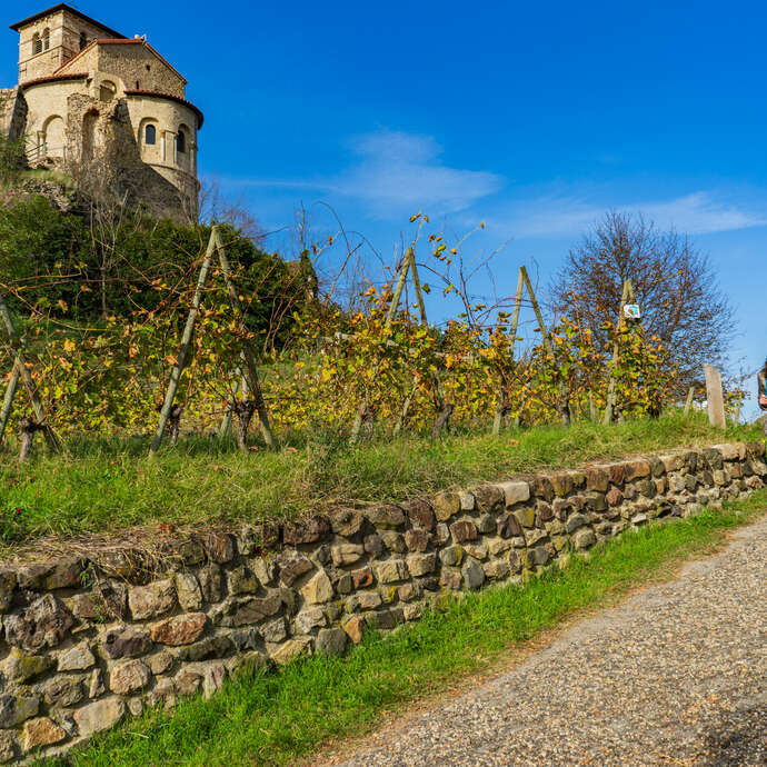 GR® de Pays Côtes du Forez Sud